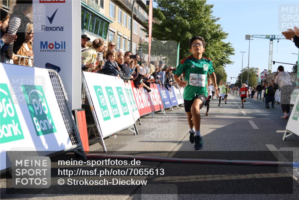15.09.2024 - PSD Bank Halbmarathon Strokosch-Dieckow http://msf.ph/oto/7065613 15.09.2024 10:26:32 Ziel 9, 86, 88, 116, 118, 143, 144, 181, 188, 200, 216, 242, 251, 295 meine-sportfotos.de