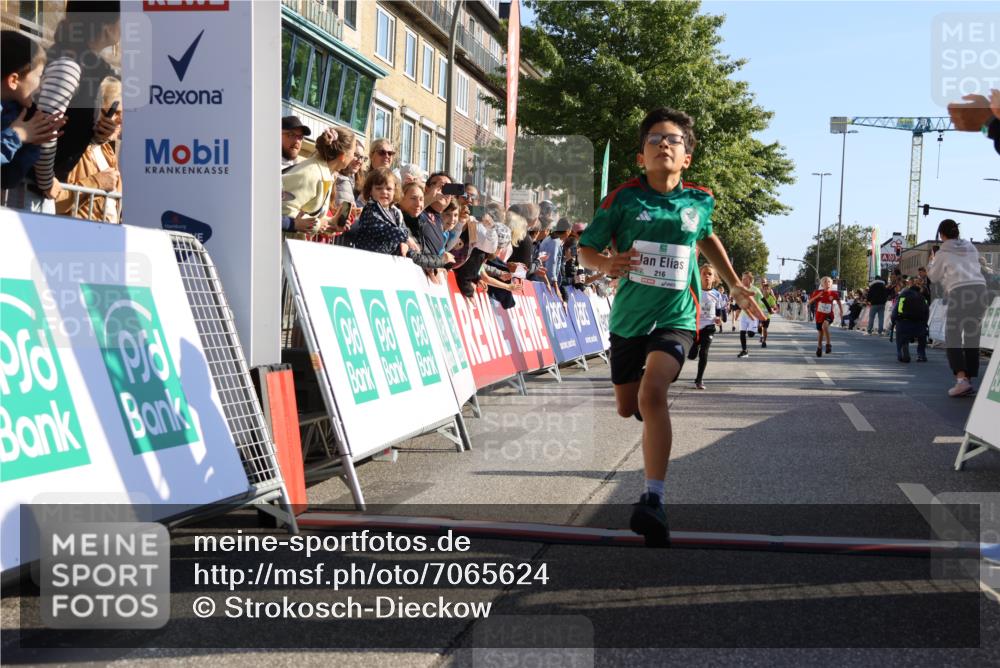 15.09.2024 - PSD Bank Halbmarathon Strokosch-Dieckow http://msf.ph/oto/7065624 15.09.2024 10:26:32 Ziel 9, 86, 88, 116, 118, 143, 144, 181, 188, 200, 216, 242, 251, 295 meine-sportfotos.de