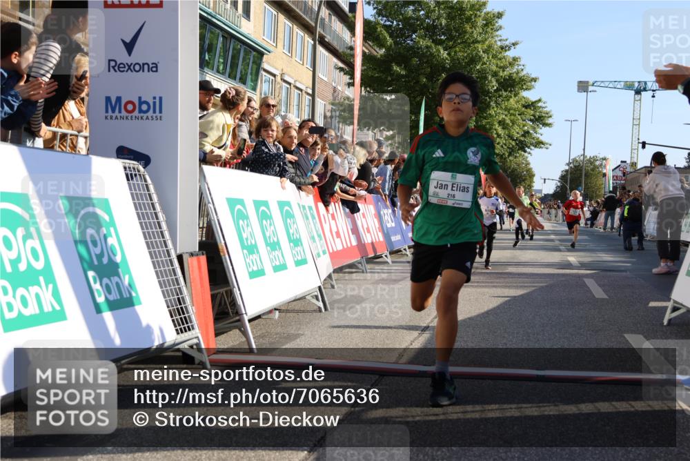 15.09.2024 - PSD Bank Halbmarathon Strokosch-Dieckow http://msf.ph/oto/7065636 15.09.2024 10:26:32 Ziel 9, 86, 88, 116, 118, 143, 144, 181, 188, 200, 216, 242, 251, 295 meine-sportfotos.de