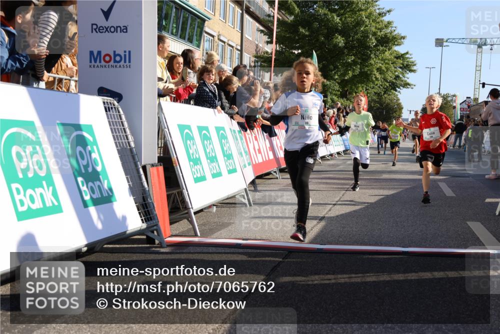 15.09.2024 - PSD Bank Halbmarathon Strokosch-Dieckow http://msf.ph/oto/7065762 15.09.2024 10:26:35 Ziel 9, 86, 88, 116, 118, 143, 144, 181, 188, 200, 216, 242, 251, 295 meine-sportfotos.de