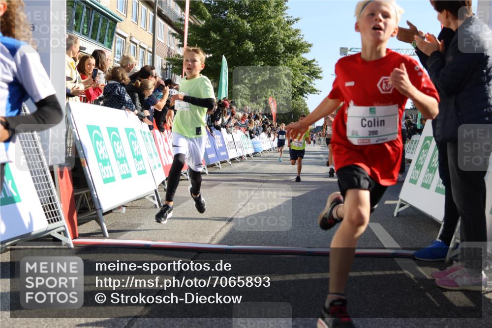 15.09.2024 - PSD Bank Halbmarathon Strokosch-Dieckow http://msf.ph/oto/7065893 15.09.2024 10:26:36 Ziel 9, 86, 88, 116, 118, 143, 144, 181, 188, 200, 216, 242, 251, 295 meine-sportfotos.de
