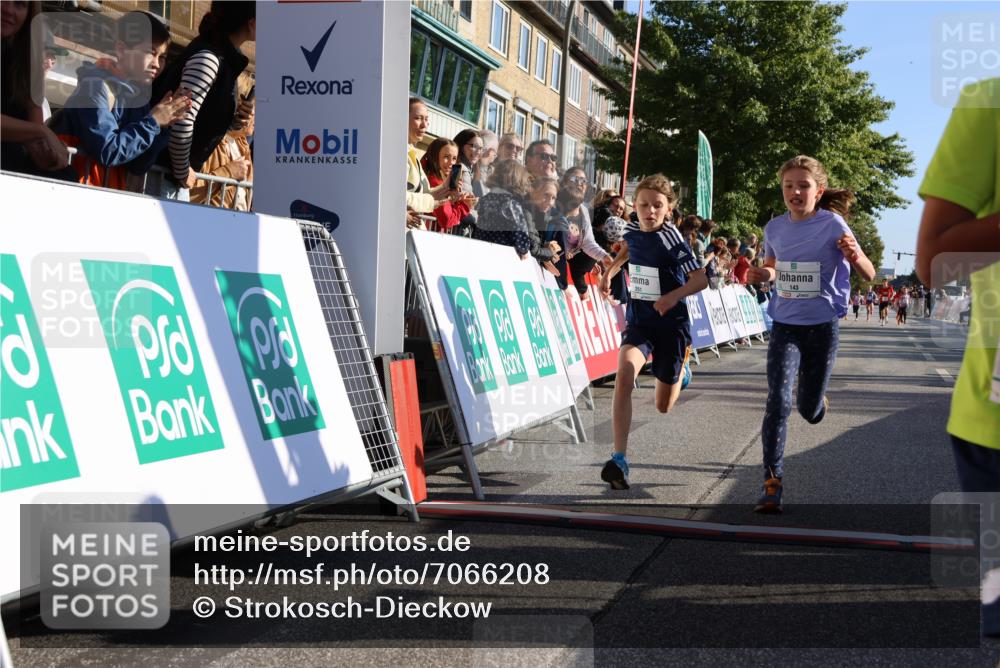 15.09.2024 - PSD Bank Halbmarathon Strokosch-Dieckow http://msf.ph/oto/7066208 15.09.2024 10:26:40 Ziel 9, 86, 88, 116, 118, 143, 188, 200, 209, 216, 251, 295 meine-sportfotos.de