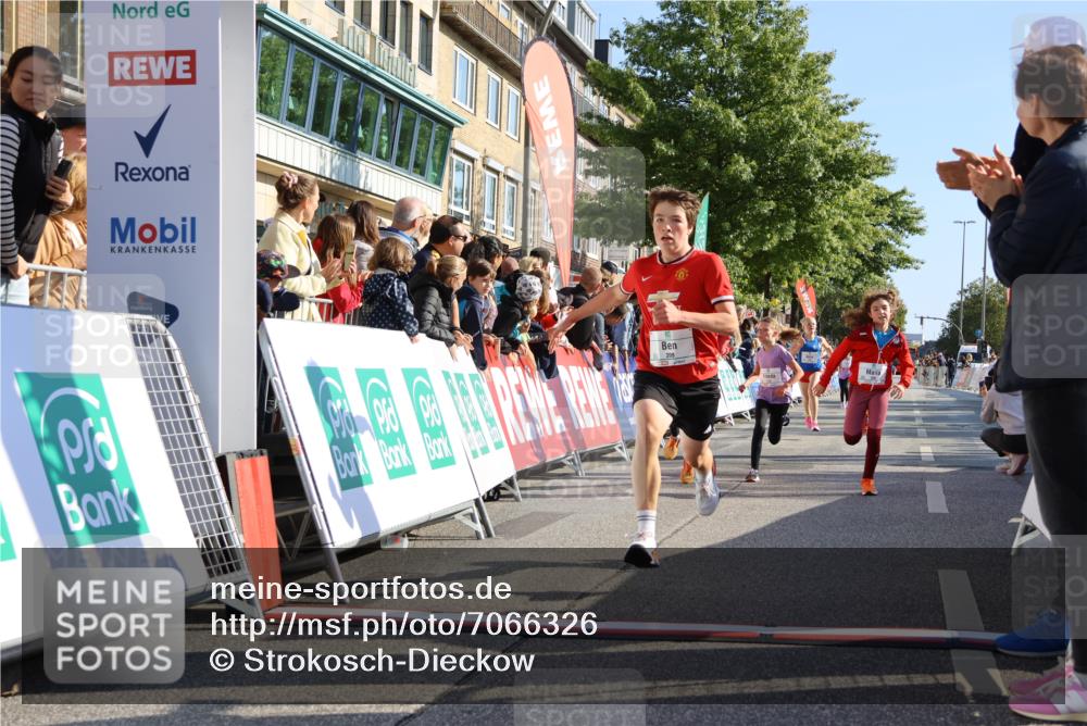 15.09.2024 - PSD Bank Halbmarathon Strokosch-Dieckow http://msf.ph/oto/7066326 15.09.2024 10:26:48 Ziel 118, 134, 143, 173, 188, 196, 209, 212, 229, 237, 251, 307 meine-sportfotos.de