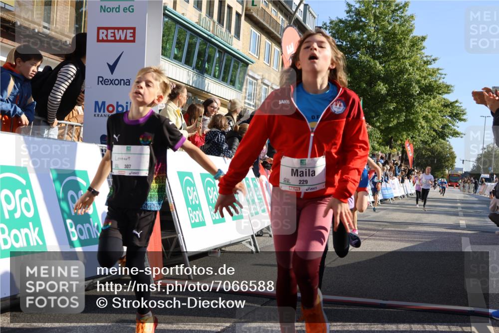 15.09.2024 - PSD Bank Halbmarathon Strokosch-Dieckow http://msf.ph/oto/7066588 15.09.2024 10:26:50 Ziel 134, 143, 173, 196, 209, 212, 229, 237, 251, 307 meine-sportfotos.de