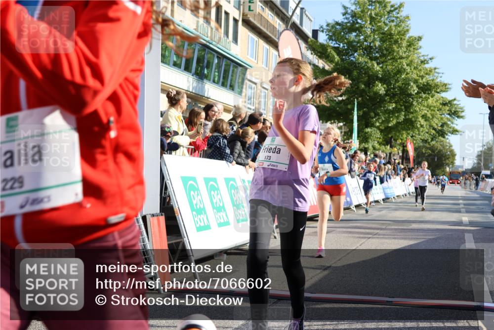 15.09.2024 - PSD Bank Halbmarathon Strokosch-Dieckow http://msf.ph/oto/7066602 15.09.2024 10:26:51 Ziel 134, 143, 173, 196, 209, 212, 229, 237, 251, 307 meine-sportfotos.de