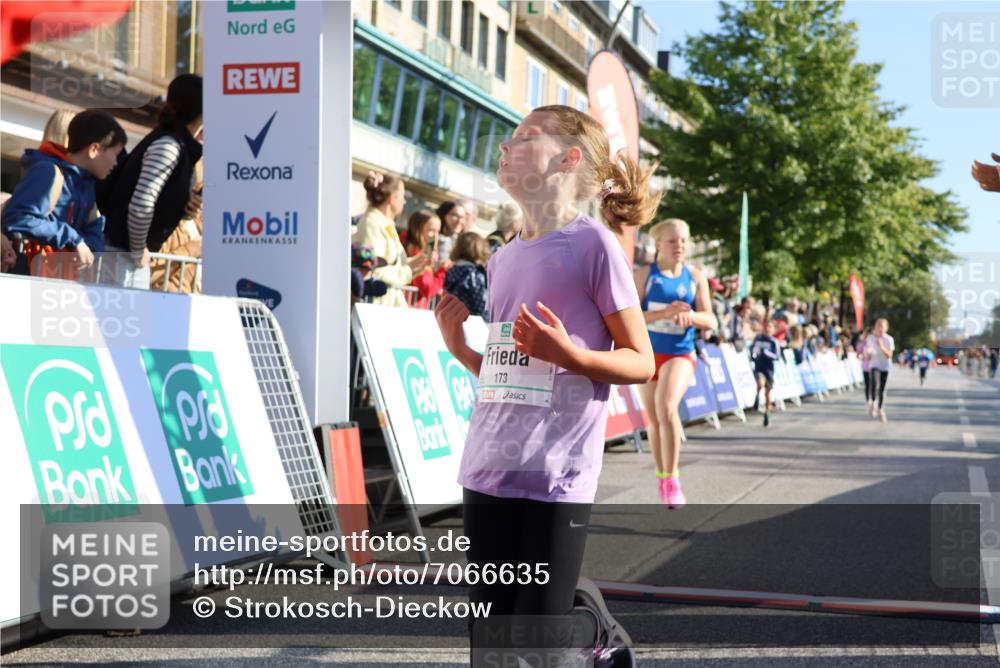 15.09.2024 - PSD Bank Halbmarathon Strokosch-Dieckow http://msf.ph/oto/7066635 15.09.2024 10:26:51 Ziel 134, 143, 173, 196, 209, 212, 229, 237, 251, 307 meine-sportfotos.de