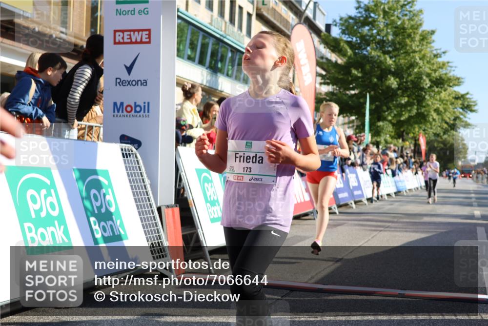 15.09.2024 - PSD Bank Halbmarathon Strokosch-Dieckow http://msf.ph/oto/7066644 15.09.2024 10:26:51 Ziel 134, 143, 173, 196, 209, 212, 229, 237, 251, 307 meine-sportfotos.de