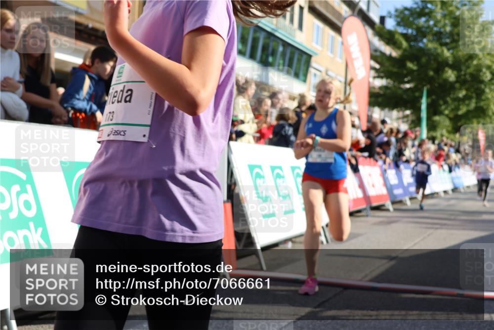 15.09.2024 - PSD Bank Halbmarathon Strokosch-Dieckow http://msf.ph/oto/7066661 15.09.2024 10:26:51 Ziel 134, 143, 173, 196, 209, 212, 229, 237, 251, 307 meine-sportfotos.de