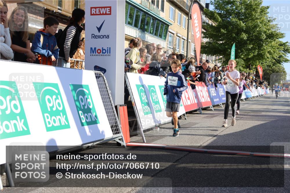 15.09.2024 - PSD Bank Halbmarathon Strokosch-Dieckow http://msf.ph/oto/7066710 15.09.2024 10:26:54 Ziel 134, 173, 196, 209, 212, 215, 229, 237, 307 meine-sportfotos.de