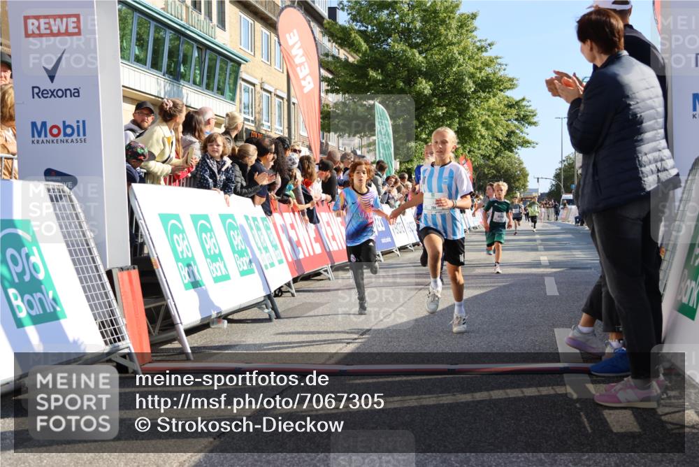 15.09.2024 - PSD Bank Halbmarathon Strokosch-Dieckow http://msf.ph/oto/7067305 15.09.2024 10:27:15 Ziel 18, 42, 69, 75, 82, 167, 198, 210, 270, 284, 294 meine-sportfotos.de