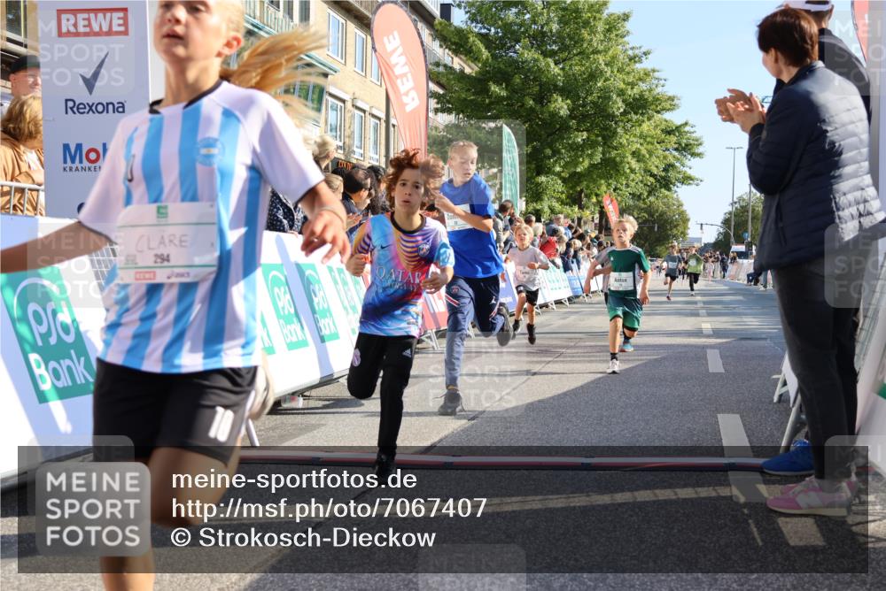 15.09.2024 - PSD Bank Halbmarathon Strokosch-Dieckow http://msf.ph/oto/7067407 15.09.2024 10:27:16 Ziel 18, 42, 69, 75, 82, 167, 198, 210, 270, 284, 294 meine-sportfotos.de