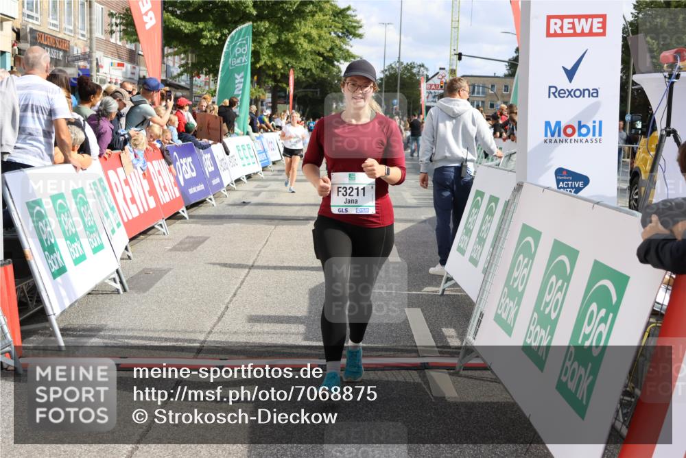 15.09.2024 - PSD Bank Halbmarathon Strokosch-Dieckow http://msf.ph/oto/7068875 15.09.2024 12:31:17 Ziel 2261, 2858, 3211, 3279, 3312, 3414, 3416 meine-sportfotos.de