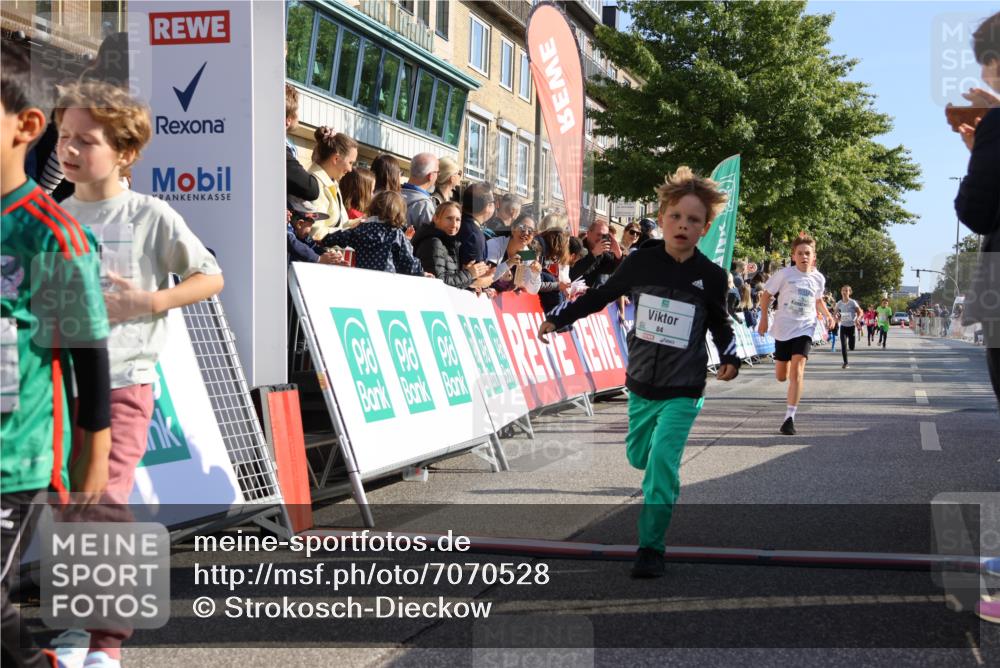 15.09.2024 - PSD Bank Halbmarathon Strokosch-Dieckow http://msf.ph/oto/7070528 15.09.2024 10:28:25 Ziel 14, 43, 84, 94, 132, 135, 149, 161, 166, 208, 217, 230, 258, 262, 293 meine-sportfotos.de