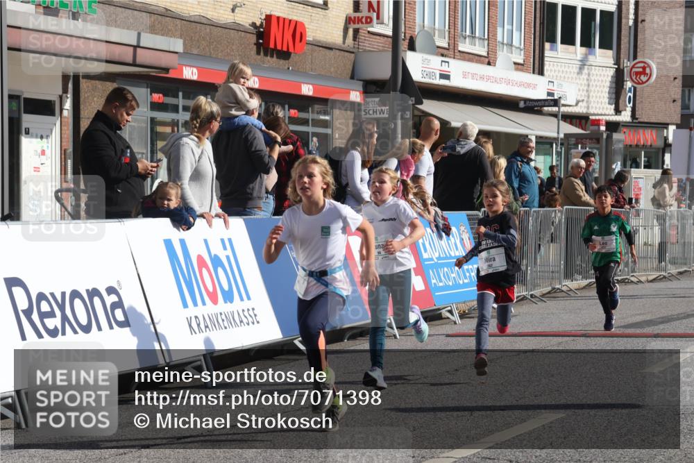 15.09.2024 - PSD Bank Halbmarathon Michael Strokosch http://msf.ph/oto/7071398 15.09.2024 10:28:02 Ziel 14, 43, 77, 84, 94, 132, 161, 208, 217, 230, 247, 258, 261, 262, 293 meine-sportfotos.de