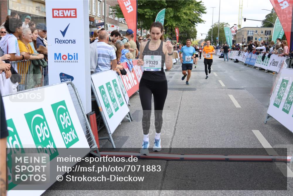 15.09.2024 - PSD Bank Halbmarathon Strokosch-Dieckow http://msf.ph/oto/7071883 15.09.2024 12:23:30 Ziel 803, 2078, 2400, 2550, 2933, 2999, 3243, 3320 meine-sportfotos.de