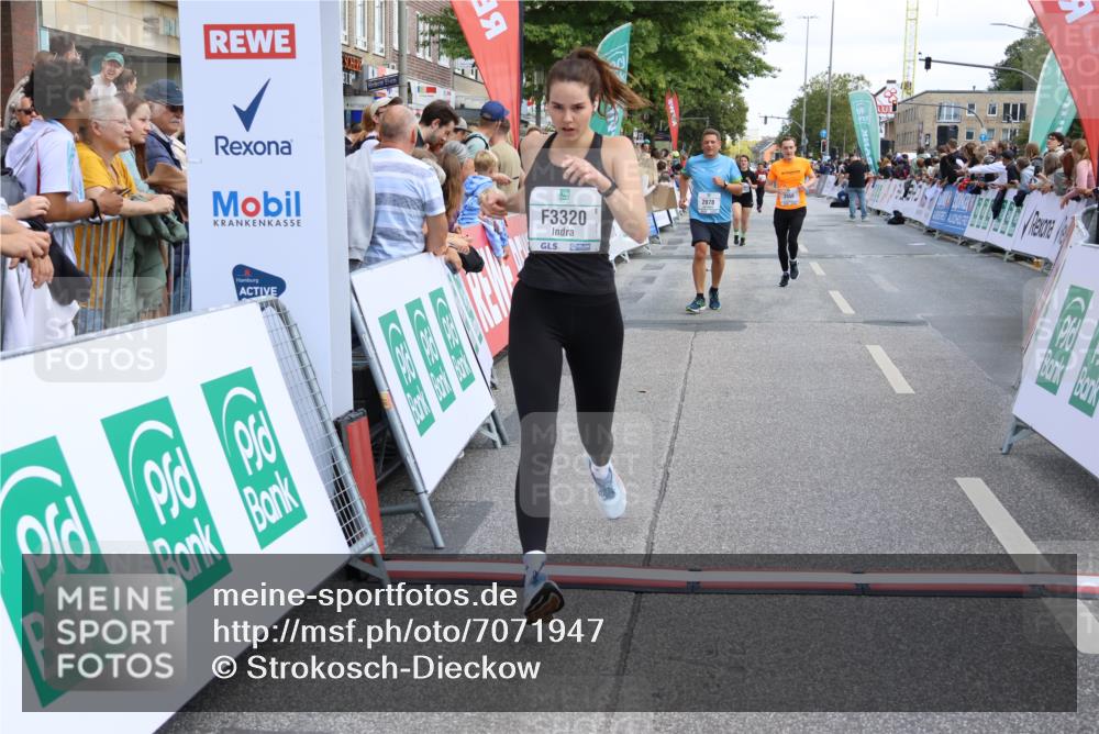 15.09.2024 - PSD Bank Halbmarathon Strokosch-Dieckow http://msf.ph/oto/7071947 15.09.2024 12:23:30 Ziel 803, 2078, 2400, 2550, 2933, 2999, 3243, 3320 meine-sportfotos.de