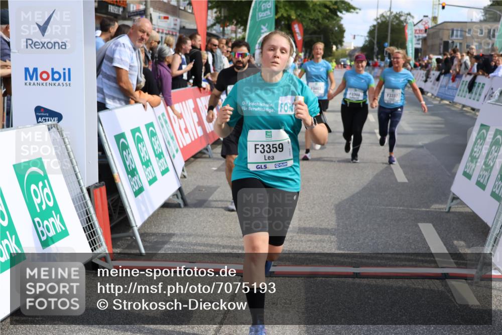 15.09.2024 - PSD Bank Halbmarathon Strokosch-Dieckow http://msf.ph/oto/7075193 15.09.2024 12:33:23 Ziel 1939, 3308, 3336, 3337, 3359, 3463 meine-sportfotos.de