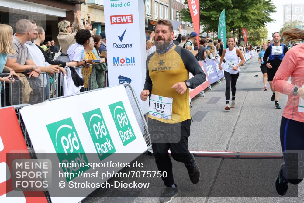 15.09.2024 - PSD Bank Halbmarathon Strokosch-Dieckow http://msf.ph/oto/7075750 15.09.2024 12:24:33 Ziel 1765, 1997, 2081, 2527, 3008, 3222, 3256, 3339, 3371, 3452, 3543 meine-sportfotos.de