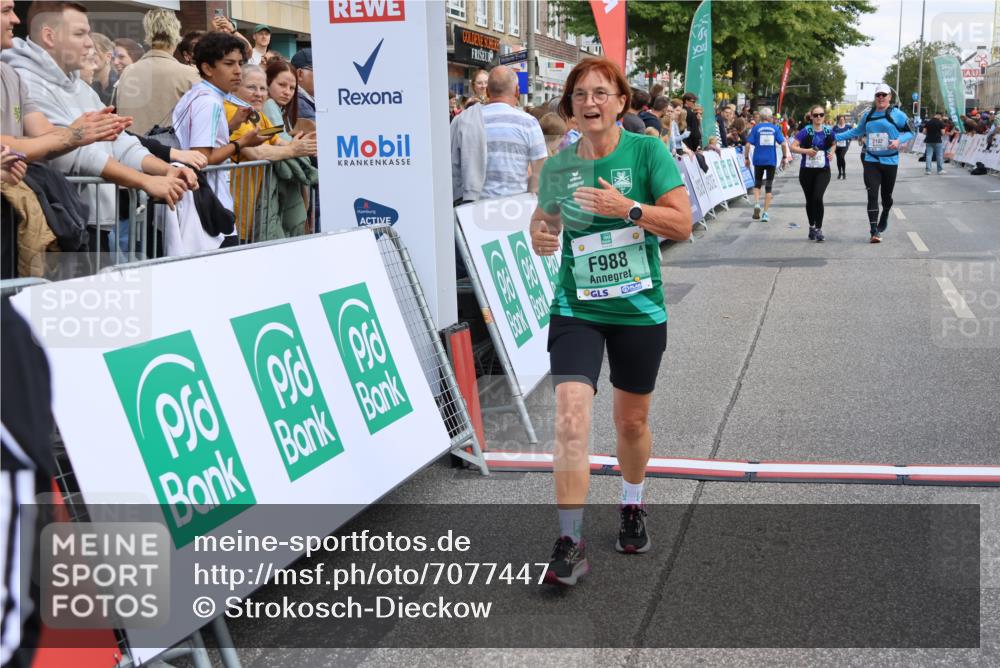 15.09.2024 - PSD Bank Halbmarathon Strokosch-Dieckow http://msf.ph/oto/7077447 15.09.2024 12:24:49 Ziel 988, 2081, 2102, 3063, 3218, 3339 meine-sportfotos.de