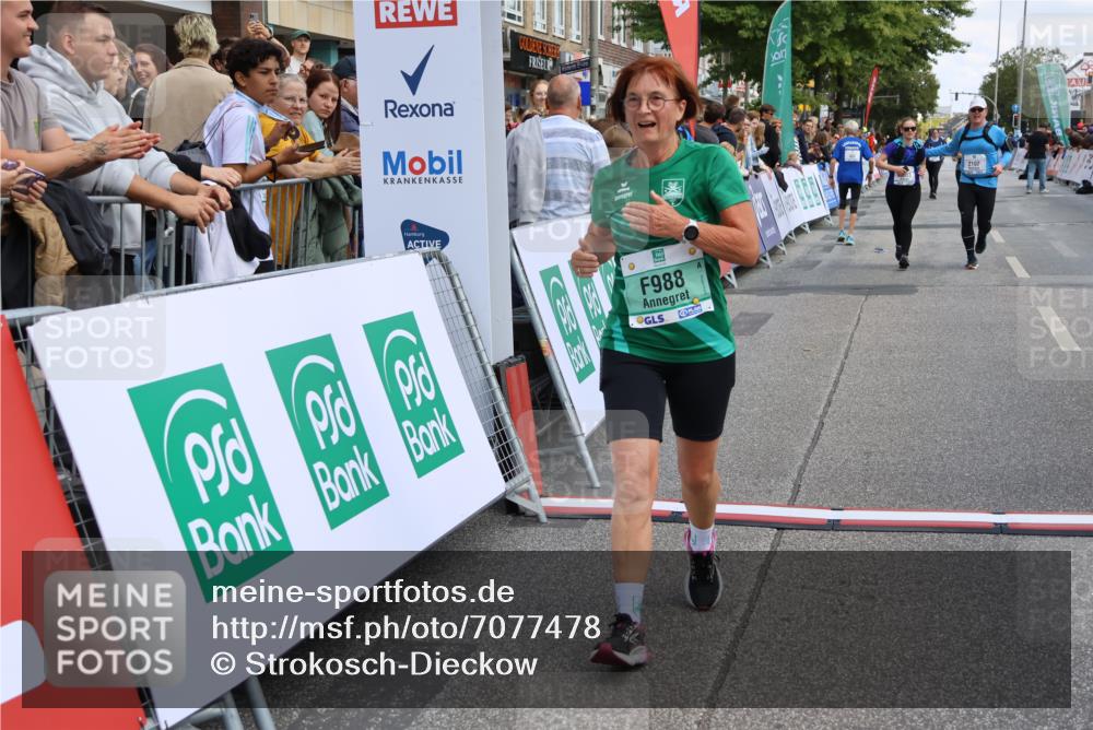 15.09.2024 - PSD Bank Halbmarathon Strokosch-Dieckow http://msf.ph/oto/7077478 15.09.2024 12:24:49 Ziel 988, 2081, 2102, 3063, 3218, 3339 meine-sportfotos.de