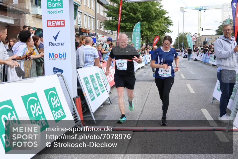 15.09.2024 - PSD Bank Halbmarathon Strokosch-Dieckow http://msf.ph/oto/7078976 15.09.2024 12:25:01 Ziel 988, 2102, 2272, 3063, 3240, 3469 meine-sportfotos.de