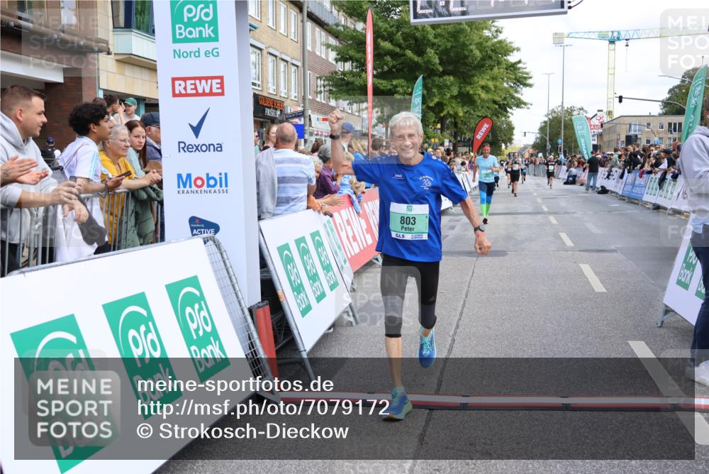 15.09.2024 - PSD Bank Halbmarathon Strokosch-Dieckow http://msf.ph/oto/7079172 15.09.2024 12:25:05 Ziel 793, 2102, 2272, 3063, 3240, 3469 meine-sportfotos.de