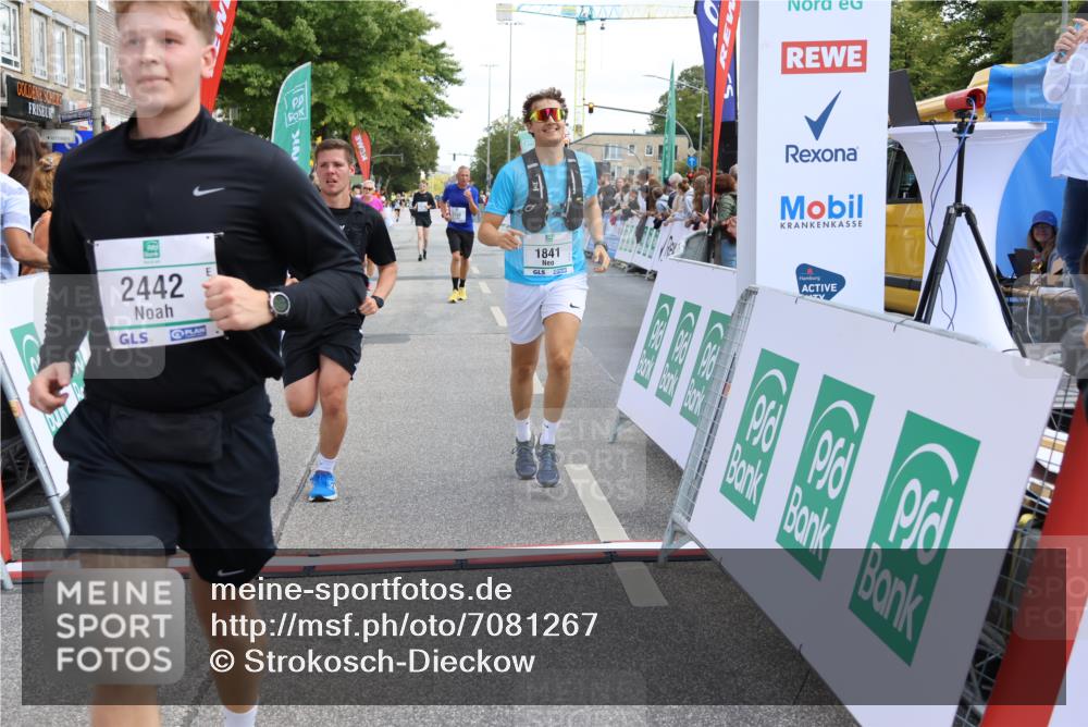 15.09.2024 - PSD Bank Halbmarathon Strokosch-Dieckow http://msf.ph/oto/7081267 15.09.2024 12:25:49 Ziel 1841, 2239, 2250, 2386, 2442, 3283 meine-sportfotos.de