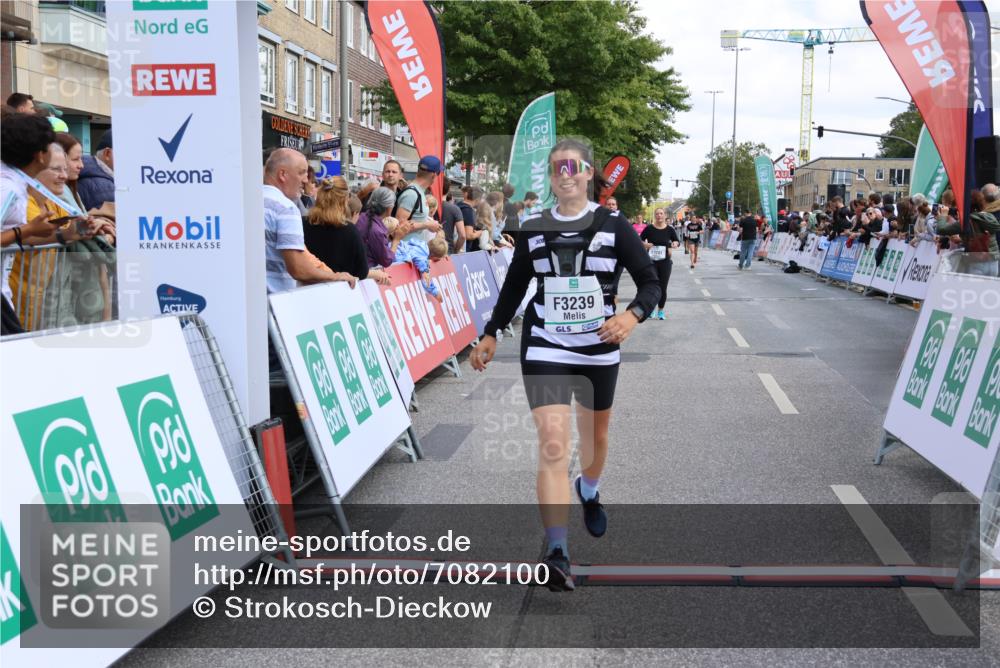 15.09.2024 - PSD Bank Halbmarathon Strokosch-Dieckow http://msf.ph/oto/7082100 15.09.2024 12:26:15 Ziel 3226, 3239, 3281, 3286 meine-sportfotos.de