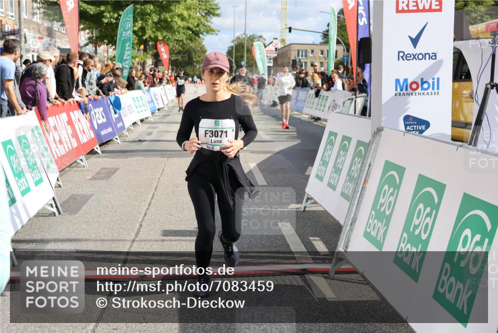 15.09.2024 - PSD Bank Halbmarathon Strokosch-Dieckow http://msf.ph/oto/7083459 15.09.2024 12:35:49 Ziel 1504, 2207, 2286, 3071, 3178, 3300, 3329, 3468 meine-sportfotos.de