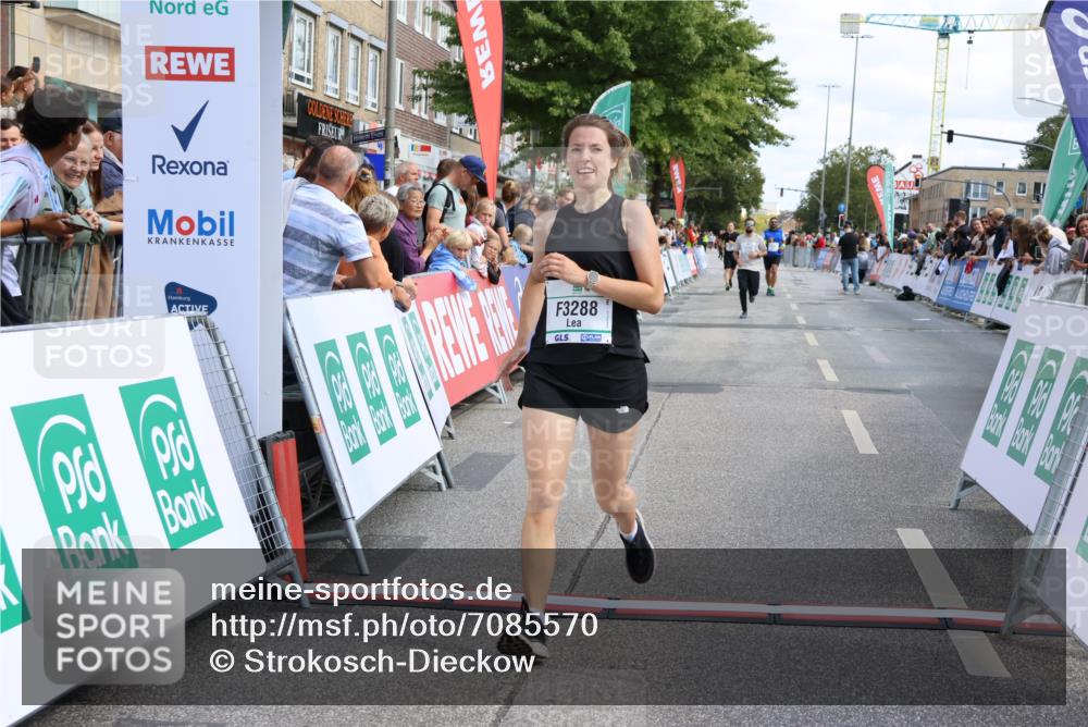 15.09.2024 - PSD Bank Halbmarathon Strokosch-Dieckow http://msf.ph/oto/7085570 15.09.2024 12:27:43 Ziel 2114, 2528, 3288 meine-sportfotos.de