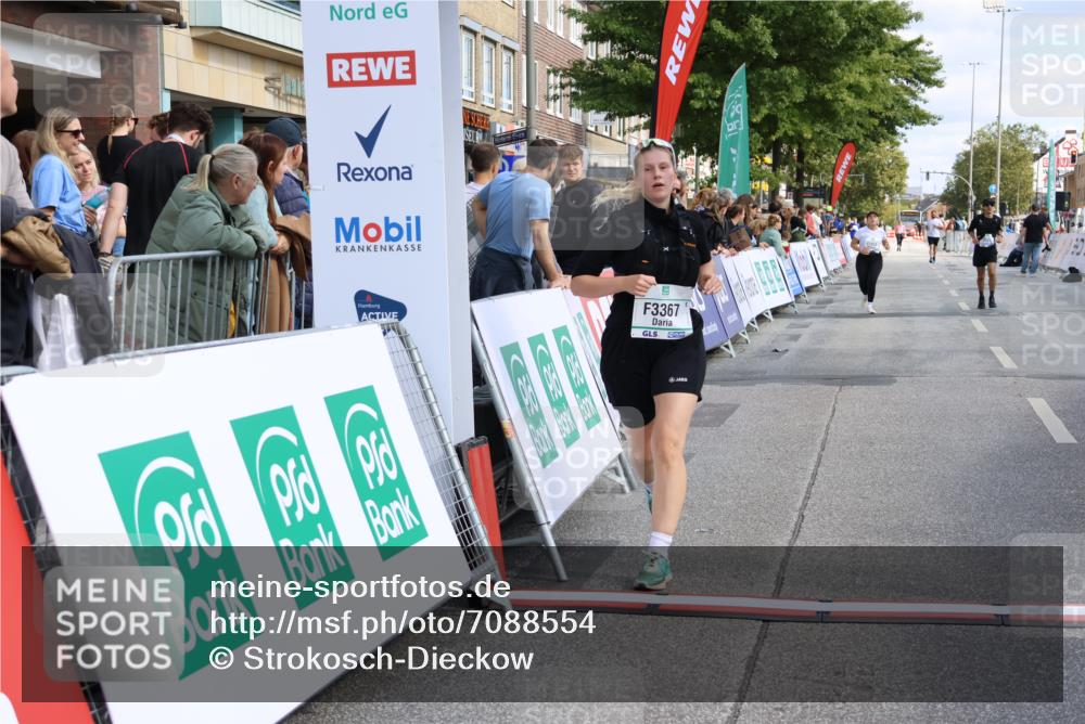 15.09.2024 - PSD Bank Halbmarathon Strokosch-Dieckow http://msf.ph/oto/7088554 15.09.2024 12:39:28 Ziel 3332, 3333, 3367 meine-sportfotos.de