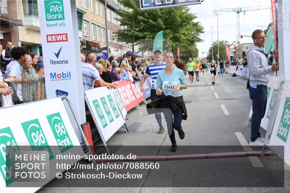 15.09.2024 - PSD Bank Halbmarathon Strokosch-Dieckow http://msf.ph/oto/7088560 15.09.2024 12:28:57 Ziel 2458, 2715, 3442 meine-sportfotos.de
