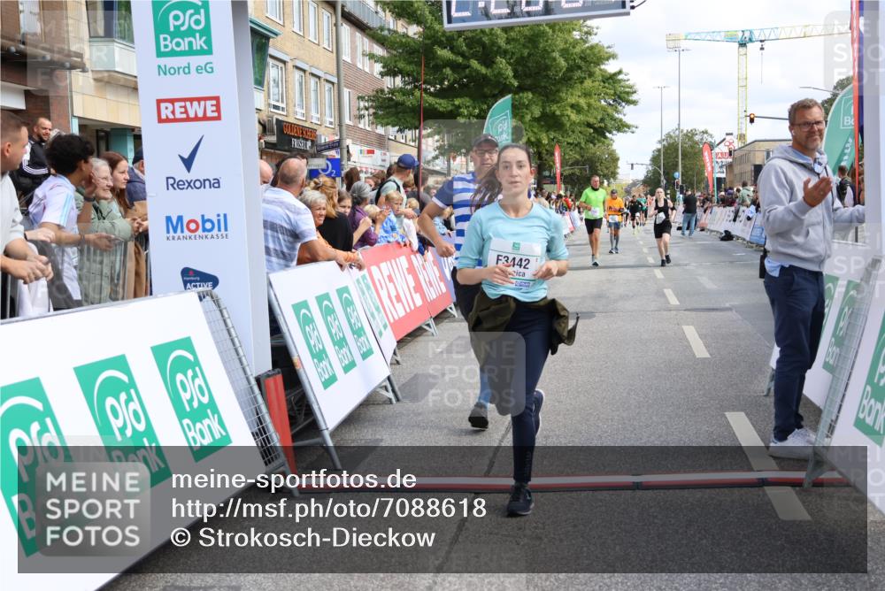 15.09.2024 - PSD Bank Halbmarathon Strokosch-Dieckow http://msf.ph/oto/7088618 15.09.2024 12:28:58 Ziel 2108, 2458, 2715, 3442 meine-sportfotos.de