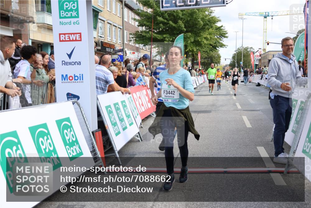 15.09.2024 - PSD Bank Halbmarathon Strokosch-Dieckow http://msf.ph/oto/7088662 15.09.2024 12:28:58 Ziel 2108, 2458, 2715, 3442 meine-sportfotos.de
