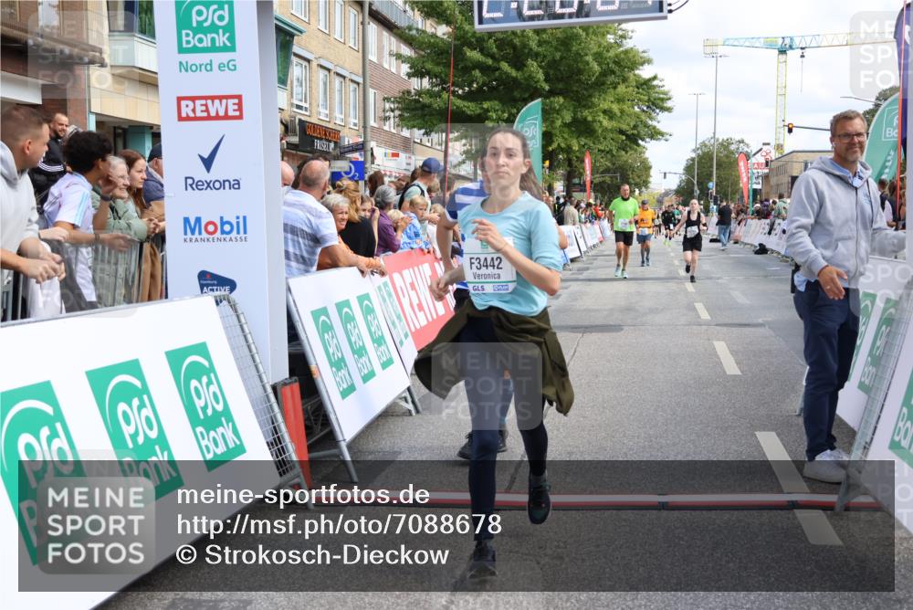 15.09.2024 - PSD Bank Halbmarathon Strokosch-Dieckow http://msf.ph/oto/7088678 15.09.2024 12:28:58 Ziel 2108, 2458, 2715, 3442 meine-sportfotos.de