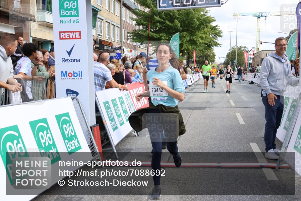 15.09.2024 - PSD Bank Halbmarathon Strokosch-Dieckow http://msf.ph/oto/7088692 15.09.2024 12:28:58 Ziel 2108, 2458, 2715, 3442 meine-sportfotos.de
