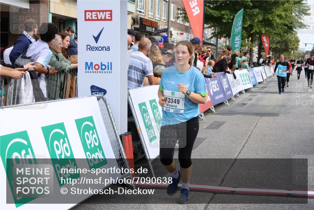 15.09.2024 - PSD Bank Halbmarathon Strokosch-Dieckow http://msf.ph/oto/7090638 15.09.2024 12:30:30 Ziel 1390, 2111, 2889, 3349 meine-sportfotos.de