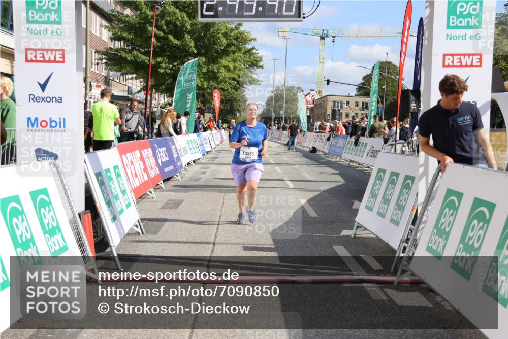 15.09.2024 - PSD Bank Halbmarathon Strokosch-Dieckow http://msf.ph/oto/7090850 15.09.2024 12:50:31 Ziel 3365 meine-sportfotos.de