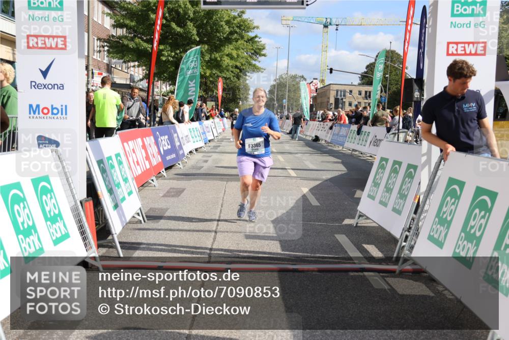 15.09.2024 - PSD Bank Halbmarathon Strokosch-Dieckow http://msf.ph/oto/7090853 15.09.2024 12:50:31 Ziel 3365 meine-sportfotos.de