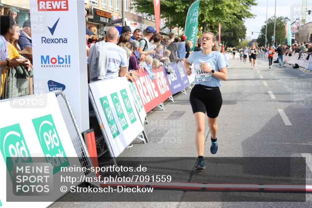 15.09.2024 - PSD Bank Halbmarathon Strokosch-Dieckow http://msf.ph/oto/7091559 15.09.2024 12:20:13 Ziel 2025, 2903, 3394, 3436, 3440 meine-sportfotos.de