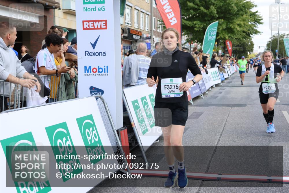 15.09.2024 - PSD Bank Halbmarathon Strokosch-Dieckow http://msf.ph/oto/7092175 15.09.2024 12:21:57 Ziel 2131, 2254, 2951, 3269, 3275 meine-sportfotos.de