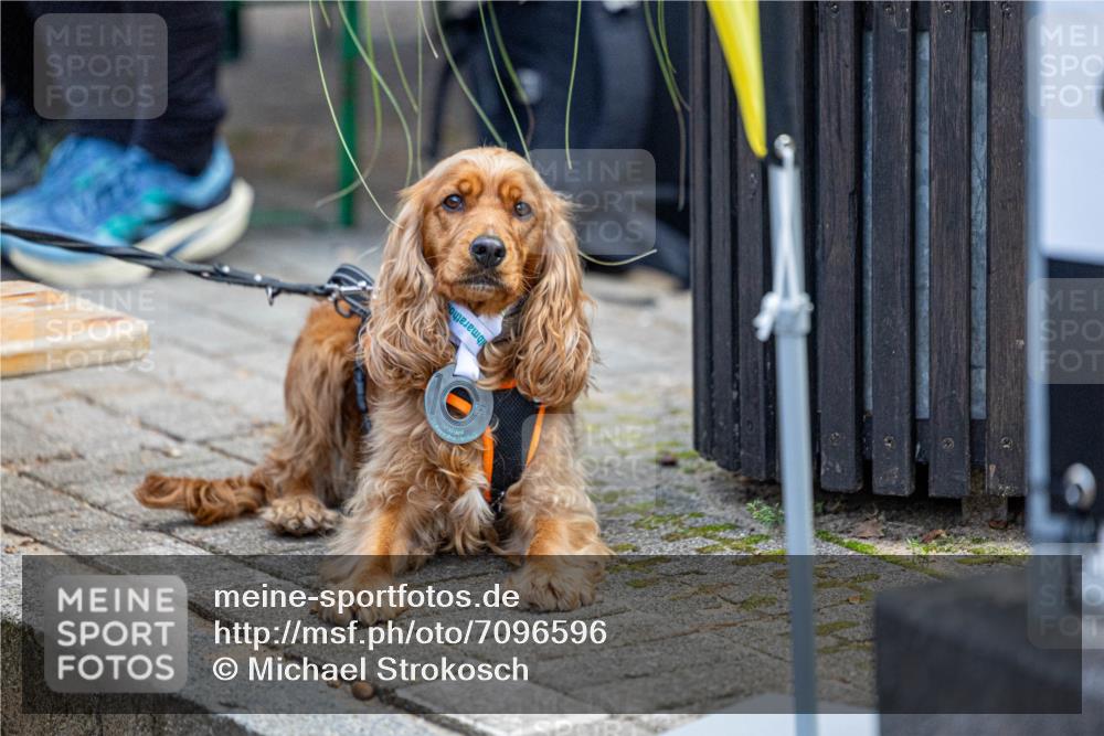 15.09.2024 - PSD Bank Halbmarathon Michael Strokosch http://msf.ph/oto/7096596 15.09.2024 12:24:27 Allgemein zum Event  meine-sportfotos.de