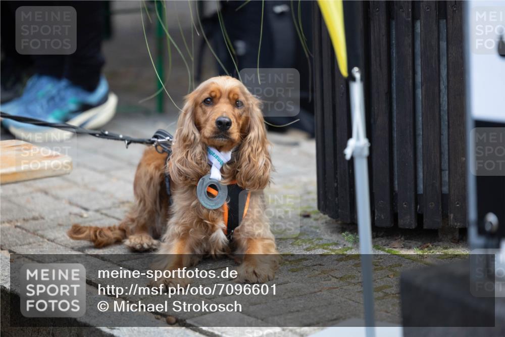 15.09.2024 - PSD Bank Halbmarathon Michael Strokosch http://msf.ph/oto/7096601 15.09.2024 12:24:26 Allgemein zum Event  meine-sportfotos.de