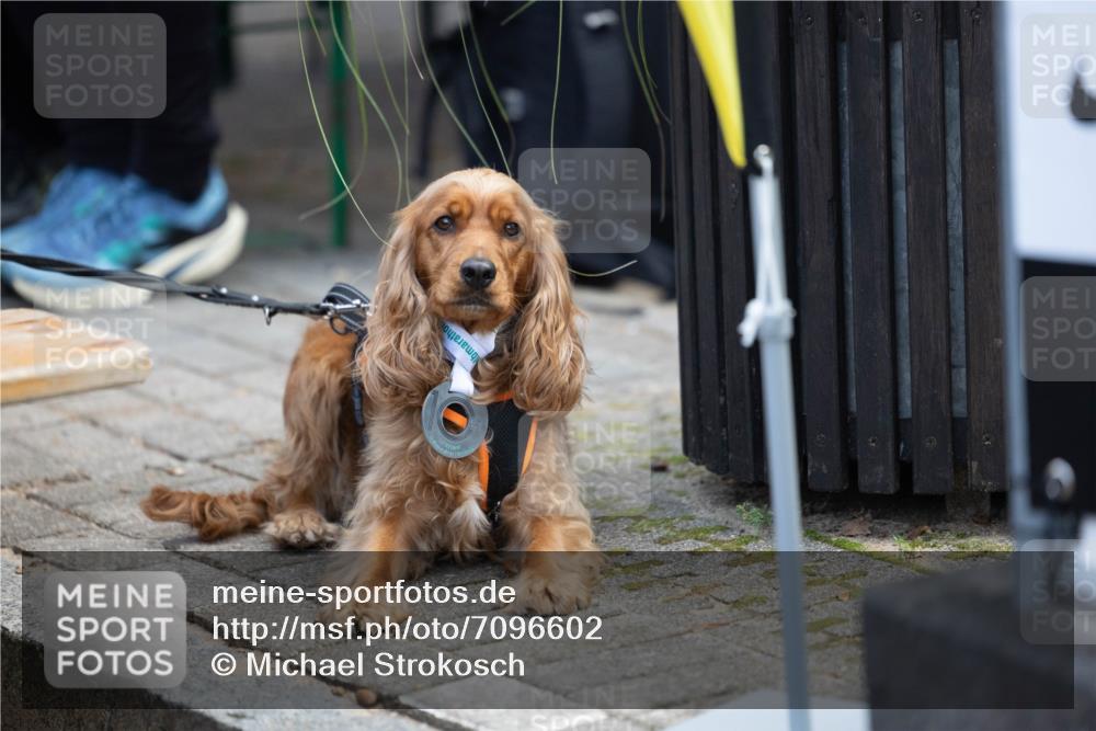 15.09.2024 - PSD Bank Halbmarathon Michael Strokosch http://msf.ph/oto/7096602 15.09.2024 12:24:26 Allgemein zum Event  meine-sportfotos.de