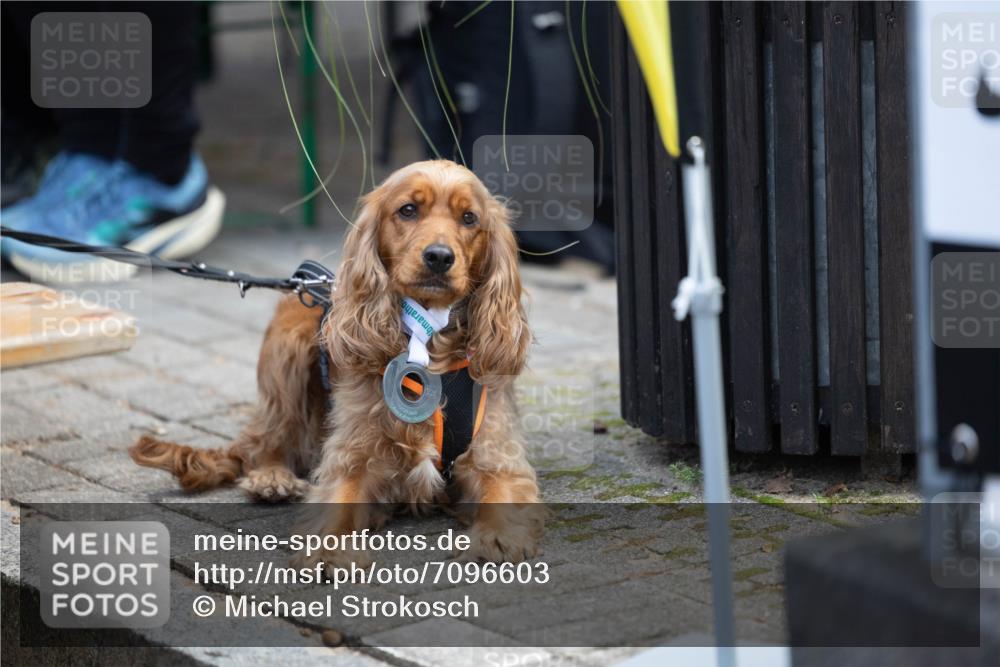 15.09.2024 - PSD Bank Halbmarathon Michael Strokosch http://msf.ph/oto/7096603 15.09.2024 12:24:25 Allgemein zum Event  meine-sportfotos.de