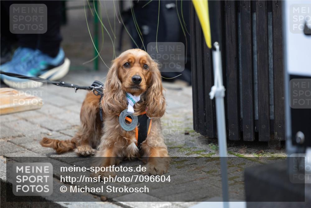 15.09.2024 - PSD Bank Halbmarathon Michael Strokosch http://msf.ph/oto/7096604 15.09.2024 12:24:26 Allgemein zum Event  meine-sportfotos.de