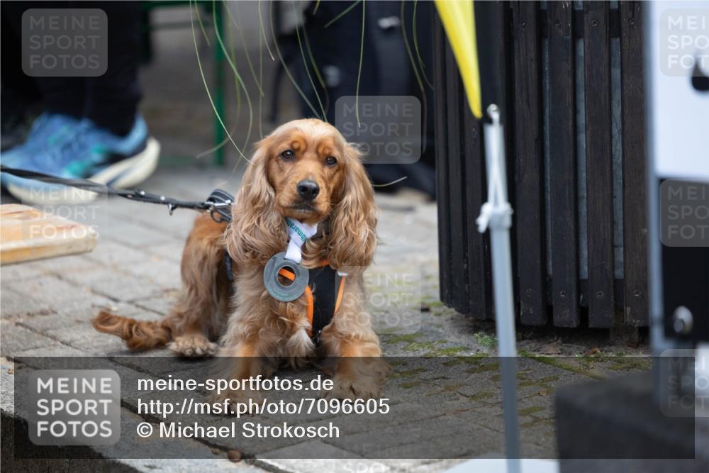 15.09.2024 - PSD Bank Halbmarathon Michael Strokosch http://msf.ph/oto/7096605 15.09.2024 12:24:25 Allgemein zum Event  meine-sportfotos.de