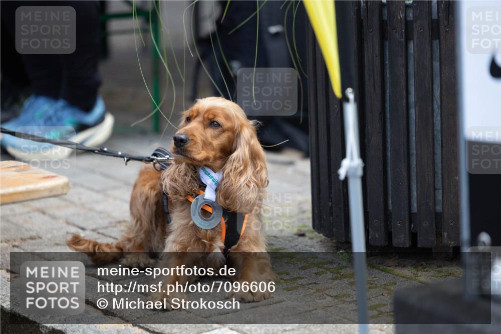 15.09.2024 - PSD Bank Halbmarathon Michael Strokosch http://msf.ph/oto/7096606 15.09.2024 12:24:25 Allgemein zum Event  meine-sportfotos.de