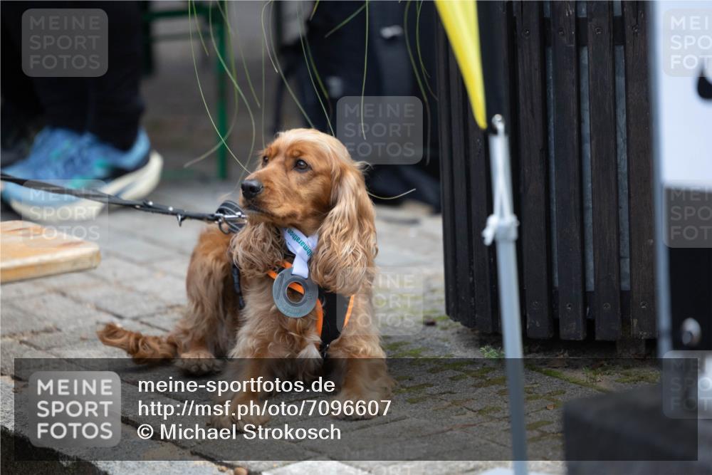 15.09.2024 - PSD Bank Halbmarathon Michael Strokosch http://msf.ph/oto/7096607 15.09.2024 12:24:25 Allgemein zum Event  meine-sportfotos.de