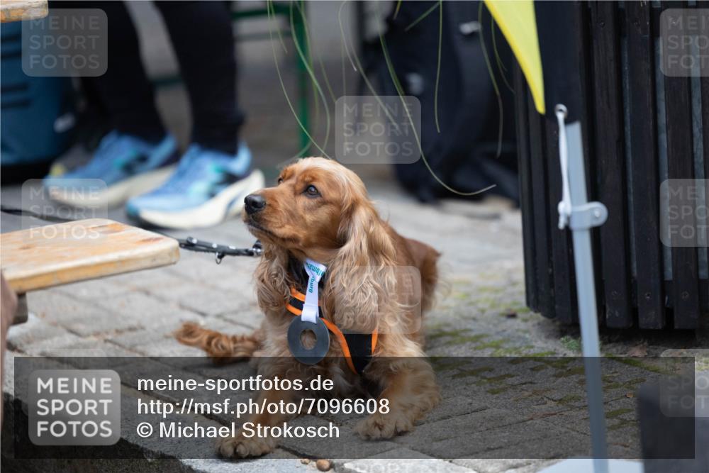 15.09.2024 - PSD Bank Halbmarathon Michael Strokosch http://msf.ph/oto/7096608 15.09.2024 12:24:04 Allgemein zum Event  meine-sportfotos.de